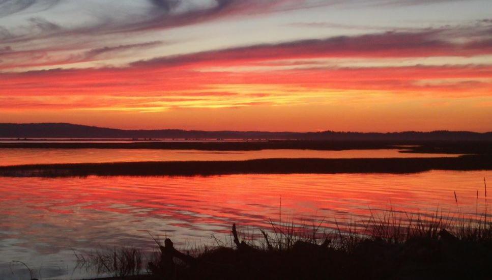 Warm Beach Hideaway With Private Beach! Stanwood Экстерьер фото